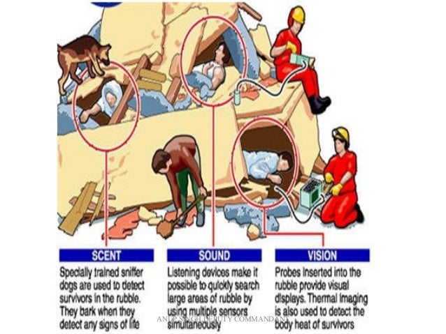 Techniques of search and rescue (2)
