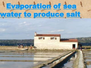 Evaporation of sea
water to produce salt
 