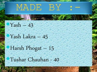 Yash – 43
Yash Lakra – 45
Harsh Phogat – 15
Tushar Chauhan - 40
 