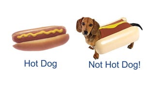Hot Dog Not Hot Dog!
 
