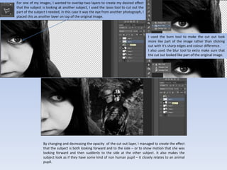 For one of my images, I wanted to overlap two layers to create my desired effect
that the subject is looking at another subject, I used the lasso tool to cut out the
part of the subject I needed, in this case it was the eye from another photograph, I
placed this as another layer on top of the original image.
I used the burn tool to make the cut out look
more like part of the image rather than sticking
out with it’s sharp edges and colour difference.
I also used the blur tool to extra make sure that
the cut out looked like part of the original image.
By changing and decreasing the opacity of the cut out layer, I managed to create the effect
that the subject is both looking forward and to the side – or to show motion that she was
looking forward and then suddenly to the side at the other subject. It also makes the
subject look as if they have some kind of non human pupil – it closely relates to an animal
pupil.
 