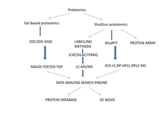 Techniques used for separation in proteomics