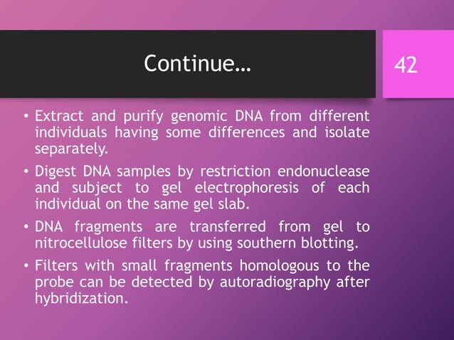 Techniques used in molecular biology | PPTX | Biological Sciences | Science