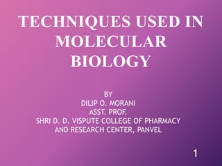 TECHNIQUES USED IN
MOLECULAR
BIOLOGY
BY
DILIP O. MORANI
ASST. PROF.
SHRI D. D. VISPUTE COLLEGE OF PHARMACY
AND RESEARCH CENTER, PANVEL
1
 