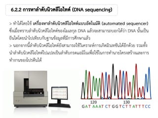 > ทาได้โดยใช้ เครื่องหาลาดับนิวคลีโอไทด์แบบอัตโนมัติ (automated sequencer)
ซึ่งเมื่อทราบลาดับนิวคลีโอไทด์ของโมเลกุล DNA แล้วจะสามารถบอกได้ว่า DNA นั้นเป็น
ยีนใดโดยนาไปเทียบกับฐานข้อมูลที่มีการศึกษาแล้ว
> นอกจากนี้ลาดับนิวคลีโอไทด์ยังสามารถใช้วิเคราะห์การเกิดมิวเทชันได้อีกด้วย รวมทั้ง
นาลาดับนิวคลีโอไทด์ไปแปลเป็นลาดับกรดแอมิโนเพื่อใช้ในการทานายโครงสร้างและการ
ทางานของโปรตีนได้
 