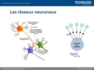 Les réseaux neuronaux
 
