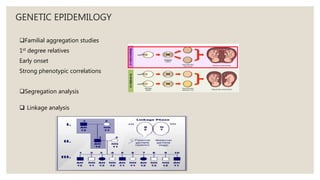 GENETIC EPIDEMILOGY
Familial aggregation studies
1st degree relatives
Early onset
Strong phenotypic correlations
Segregation analysis
 Linkage analysis
 