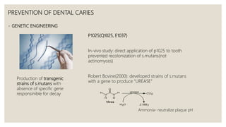 PREVENTION OF DENTAL CARIES
◦ GENETIC ENGINEERING
Production of transgenic
strains of s.mutans with
absence of specific gene
responsinible for decay
P1025(Q1025, E1037)
In-vivo study: direct application of p1025 to tooth
prevented recolonization of s.mutans(not
actinomyces)
Robert Bovine(2000): developed strains of s.mutans
with a gene to produce “UREASE”
Ammonia- neutralize plaque pH
 