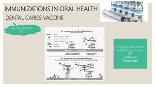 IMMUNIZATIONS IN ORAL HEALTH
DENTAL CARIES VACCINE
W.H.Bowen(196
9)
Antigenic components
targeted by vaccine:
GTF
Adhesins
Dextranase
 
