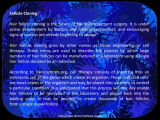 Follicle Cloning:

Hair follicle cloning is the future of hair loss treatment surgery. It is under
active development by doctors and medical researchers, and encouraging
signs of success are already beginning to appear.

Hair follicle cloning goes by other names as tissue engineering or cell
therapy. These terms are used to describe the process by which large
numbers of hair follicles can be manufactured in a laboratory using a single
hair follicle donated by an individual.

According to hairscientists.org, cell therapy consists of inserting into an
embryonic cell all the genes which create an organism. These ‘cultured cells’
are exact copies of the organism and may be placed into a patient to correct
a particular condition. It is anticipated that this process will one day enable
hair follicles to be multiplied in the laboratory and placed back into the
balding scalp. It may be possible to create thousands of hair follicles
from a snigle donor follicle.

                           http://www.leimo-hairloss.co.uk
 