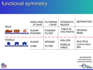 functional symmetry  MALE FEMALE DISOLVING  SUGAR POWDER SUGAR CUBE FILTERING  POWDER FILTER SPONGE FILTER STRENGTH/ WEIGHT TABLE IN TWO PARTS HOLLOW POREUS TABLE SEPARATION SEVERAL BIINS MULTIPLE  COMPARTMENT  BIN (in liquid) ( liquid) pauses/peaks, convex/concave, protrusion/carving 