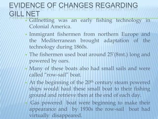 EVIDENCE OF CHANGES REGARDING
GILL NET
      Gillnetting was an early fishing technology in
       Colonial America.
      Immigrant fishermen from northern Europe and
       the Mediterranean brought adaptation of the
       technology during 1860s.
      The fishermen used boat around 25‟(8mt.) long and
       powered by oars.
      Many of these boats also had small sails and were
       called “row-sail” boat.
      At the beginning of the 20th century steam powered
       ships would haul these small boat to their fishing
       ground and retrieve then at the end of each day.
       Gas powered boat were beginning to make their
       appearance and by 1930s the row-sail boat had
       virtually disappeared.
 