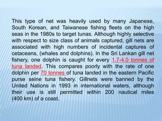This type of net was heavily used by many Japanese,
South Korean, and Taiwanese fishing fleets on the high
seas in the 1980s to target tunas. Although highly selective
with respect to size class of animals captured, gill nets are
associated with high numbers of incidental captures of
cetaceans, (whales and dolphins). In the Sri Lankan gill net
fishery, one dolphin is caught for every 1.7-4.0 tonnes of
tuna landed. This compares poorly with the rate of one
dolphin per 70 tonnes of tuna landed in the eastern Pacific
purse seine tuna fishery. Gillnets were banned by the
United Nations in 1993 in international waters, although
their use is still permitted within 200 nautical miles
(400 km) of a coast.
 