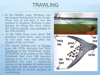 TRAWLING
   In the Middle Ages, Brixham was
    the largest fishing port in the South-
    West, and at one time it was the
    greatest in England. Brixham is also
    famous for being the town where
    the fishing trawler was invented in
    the 19th century.
    In the 1890s there were about 300
    trawling vessels there, each owned
    by one man who was often the
    skipper of his own boat.
   The largest fishing port in Europe
    from the 1970s onwards has been
    Peterhead in the North-East corner
    of Scotland. In its prime in the 1980s
    Peterhead had over 500 trawlers
    staying at sea for a week each trip.
    Peterhead has seen a significant
    decline in the number of vessels and
    the value of fish landed has been
    reduced due to several decades of
    overfishing .
 