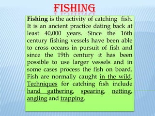FISHING
Fishing is the activity of catching fish.
It is an ancient practice dating back at
least 40,000 years. Since the 16th
century fishing vessels have been able
to cross oceans in pursuit of fish and
since the 19th century it has been
possible to use larger vessels and in
some cases process the fish on board.
Fish are normally caught in the wild.
Techniques for catching fish include
hand gathering, spearing, netting,
angling and trapping.
 