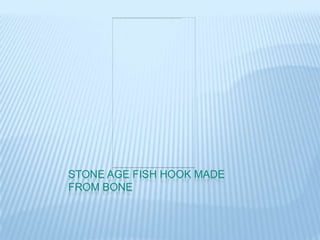STONE AGE FISH HOOK MADE
FROM BONE
 
