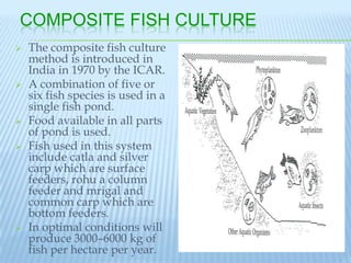 COMPOSITE FISH CULTURE
   The composite fish culture
    method is introduced in
    India in 1970 by the ICAR.
   A combination of five or
    six fish species is used in a
    single fish pond.
   Food available in all parts
    of pond is used.
   Fish used in this system
    include catla and silver
    carp which are surface
    feeders, rohu a column
    feeder and mrigal and
    common carp which are
    bottom feeders.
   In optimal conditions will
    produce 3000–6000 kg of
    fish per hectare per year.
 