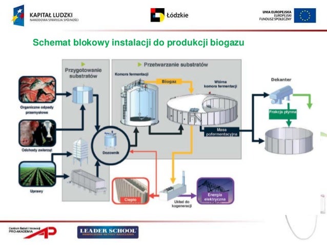 Uzupełnij Schemat Dotyczący Uzyskiwania Energii Przez Organizmy Uzupenij Schemat Dotyczcy Uzyskiwania Energii Przez Organizmy - question