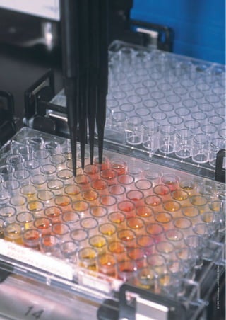 40 n Technologies clés 2020
©CNRSPhotothèque-LAMOUREUXRichard
TC2020_modifJOUVE.indd 40 02/05/2016 09:45
 