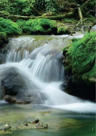 ©Fotolia
TC2020_modifJOUVE.indd 90 02/05/2016 09:46
 