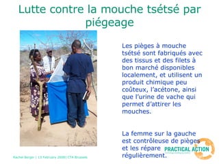 Lutte contre la mouche tsétsé par piégeage Les pièges à mouche tsétsé sont fabriqués avec des tissus et des filets à bon marché disponibles localement, et utilisent un produit chimique peu coûteux, l’acétone, ainsi que l’urine de vache qui permet d’attirer les mouches.  La femme sur la gauche est contrôleuse de pièges et les répare régulièrement.  