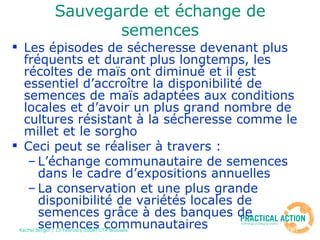 Sauvegarde et échange de semences Les épisodes de sécheresse devenant plus fréquents et durant plus longtemps, les récoltes de maïs ont diminué et il est essentiel d’accroître la disponibilité de semences de maïs adaptées aux conditions locales et d’avoir un plus grand nombre de cultures résistant à la sécheresse comme le millet et le sorgho Ceci peut se réaliser à travers : L’échange communautaire de semences dans le cadre d’expositions annuelles La conservation et une plus grande disponibilité de variétés locales de semences grâce à des banques de semences communautaires 