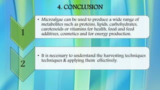 Technologies for Microalgae Harvesting | PPTX