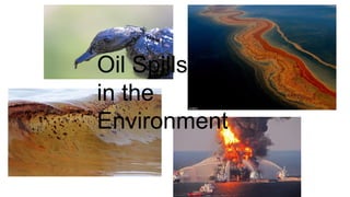 Oil Spills
in the
Environment
 