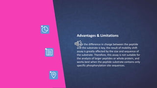 Advantages & Limitations
Since the difference in charge between the peptide
and the substrate is key, the result of mobility shift
assay is greatly affected by the size and sequence of
the substrate. Therefore, this assay is not suitable for
the analysis of larger peptides or whole protein, and
works best when the peptide substrate contains only
specific phosphorylation site sequences.
 