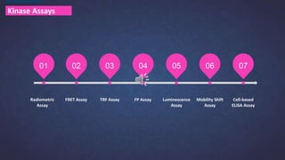 Kinase Assays
01 02 03 04 05 06 07
Radiometric
Assay
FRET Assay TRF Assay FP Assay Luminescence
Assay
Mobility Shift
Assay
Cell-based
ELISA Assay
 