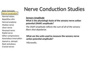 Basic Concepts
Nerve conduction
Normal values
Repetitive stim
Normal anatomy
Median nerve
Ulnar nerve
Peroneal nerve
Radial nerve
Other compressions
Anomalous innervation
Axonal vs. demyel.
Root and plexus
Cranial nerves
Nerve Conduction Studies
Sensory Amplitude
What is the physiologic basis of the sensory nerve action
potential (SNAP) amplitude?
The SNAP amplitude reflects the sum of all of the sensory
fibers that depolarize.
What are the units used to measure the sensory nerve
action potential amplitude?
Microvolts.
 