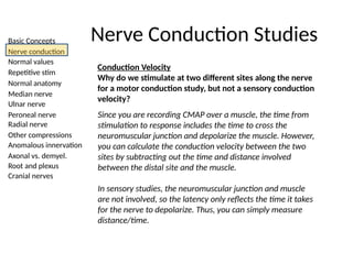 Basic Concepts
Nerve conduction
Normal values
Repetitive stim
Normal anatomy
Median nerve
Ulnar nerve
Peroneal nerve
Radial nerve
Other compressions
Anomalous innervation
Axonal vs. demyel.
Root and plexus
Cranial nerves
Nerve Conduction Studies
Conduction Velocity
Why do we stimulate at two different sites along the nerve
for a motor conduction study, but not a sensory conduction
velocity?
Since you are recording CMAP over a muscle, the time from
stimulation to response includes the time to cross the
neuromuscular junction and depolarize the muscle. However,
you can calculate the conduction velocity between the two
sites by subtracting out the time and distance involved
between the distal site and the muscle.
In sensory studies, the neuromuscular junction and muscle
are not involved, so the latency only reflects the time it takes
for the nerve to depolarize. Thus, you can simply measure
distance/time.
 
