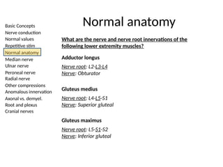 Basic Concepts
Nerve conduction
Normal values
Repetitive stim
Normal anatomy
Median nerve
Ulnar nerve
Peroneal nerve
Radial nerve
Other compressions
Anomalous innervation
Axonal vs. demyel.
Root and plexus
Cranial nerves
Normal anatomy
What are the nerve and nerve root innervations of the
following lower extremity muscles?
Adductor longus
Nerve root: L2-L3-L4
Nerve: Obturator
Gluteus medius
Nerve root: L4-L5-S1
Nerve: Superior gluteal
Gluteus maximus
Nerve root: L5-S1-S2
Nerve: Inferior gluteal
 