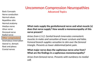 Basic Concepts
Nerve conduction
Normal values
Repetitive stim
Normal anatomy
Median nerve
Ulnar nerve
Peroneal nerve
Radial nerve
Other compressions
Anomalous innervation
Axonal vs. demyel.
Root and plexus
Cranial nerves
Uncommon Compression Neuropathies
Advanced Topics
What roots supply the genitofemoral nerve and what muscle (s)
does that nerve supply? How would a mononeuropathy of this
nerve present?
Arises from L1-L2. Genital branch innervates cremasteric
muscles in males and sensation of lower scrotum and labia.
Femoral branch supplies sensation to skin over the femoral
triangle. Presents as lower abdominal/pelvic pain.
What major nerve does the saphenous nerve arise from?
What are the findings in a saphenous mononeuropathy?
Arises from femoral nerve. Presents with numbness to medial
calf.
 