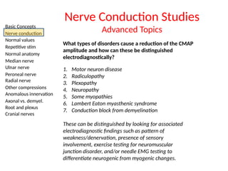 Basic Concepts
Nerve conduction
Normal values
Repetitive stim
Normal anatomy
Median nerve
Ulnar nerve
Peroneal nerve
Radial nerve
Other compressions
Anomalous innervation
Axonal vs. demyel.
Root and plexus
Cranial nerves
Nerve Conduction Studies
Advanced Topics
What types of disorders cause a reduction of the CMAP
amplitude and how can these be distinguished
electrodiagnostically?
1. Motor neuron disease
2. Radiculopathy
3. Plexopathy
4. Neuropathy
5. Some myopathies
6. Lambert Eaton myasthenic syndrome
7. Conduction block from demyelination
These can be distinguished by looking for associated
electrodiagnostic findings such as pattern of
weakness/denervation, presence of sensory
involvement, exercise testing for neuromuscular
junction disorder, and/or needle EMG testing to
differentiate neurogenic from myogenic changes.
 