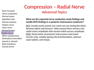 Basic Concepts
Nerve conduction
Normal values
Repetitive stim
Normal anatomy
Median nerve
Ulnar nerve
Peroneal nerve
Radial nerve
Other compressions
Anomalous innervation
Axonal vs. demyel.
Root and plexus
Cranial nerves
What are the expected nerve conduction study findings and
needle EMG findings in a posterior interosseous syndrome?
NCS: Usually purely axonal, but rarely can see conduction block
between elbow and forearm. When axonal there will be a low
radial motor amplitude with normal radial sensory amplitude.
EMG: Denervation of posterior interosseous innervated
muscles only, notably sparing the brachioradialis, extensor
carpi radialis, and triceps.
Compression – Radial Nerve
Advanced Topics
 