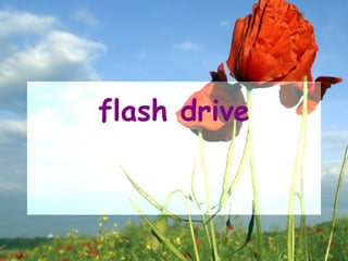 flash drive
 