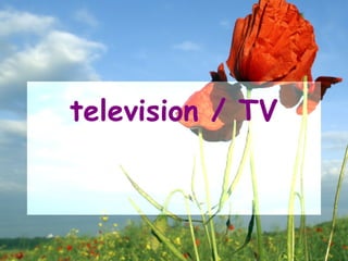television / TV
 