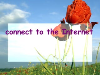 connect to the Internet
 