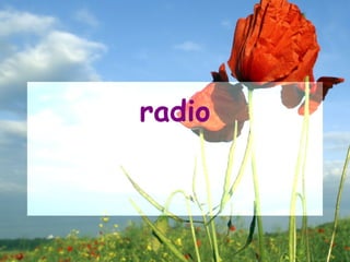 radio
 