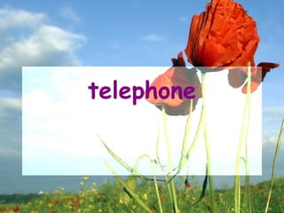 telephone
 