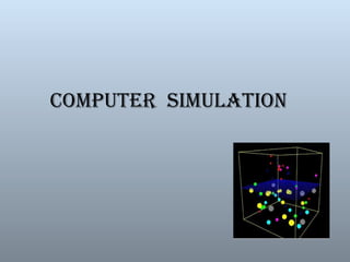 COMPUTER SIMULATION
 