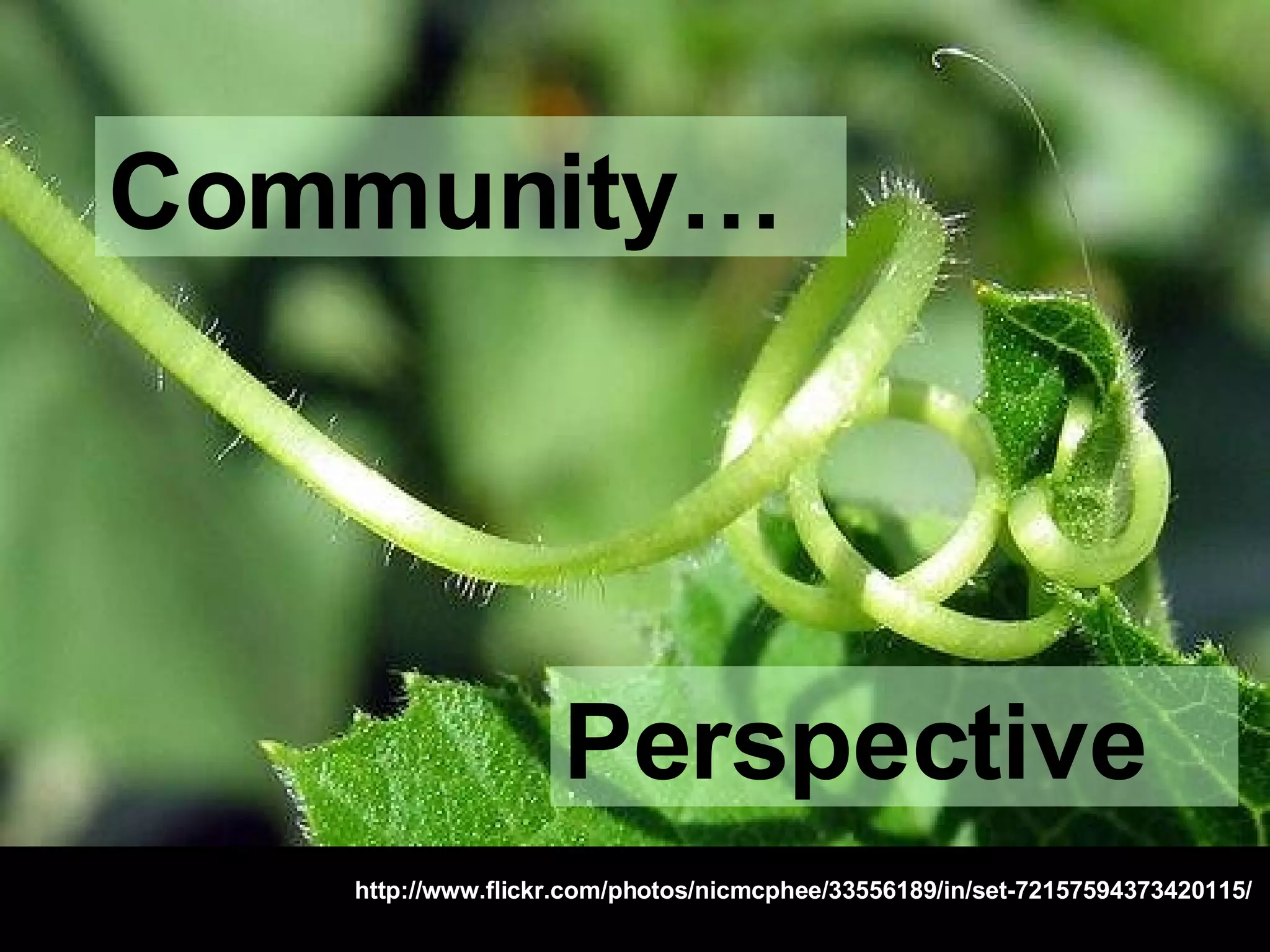 http://www.flickr.com/photos/nicmcphee/33556189/in/set-72157594373420115/ Community… Perspective 