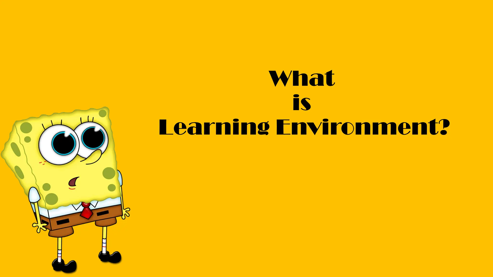What
is
Learning Environment?
 