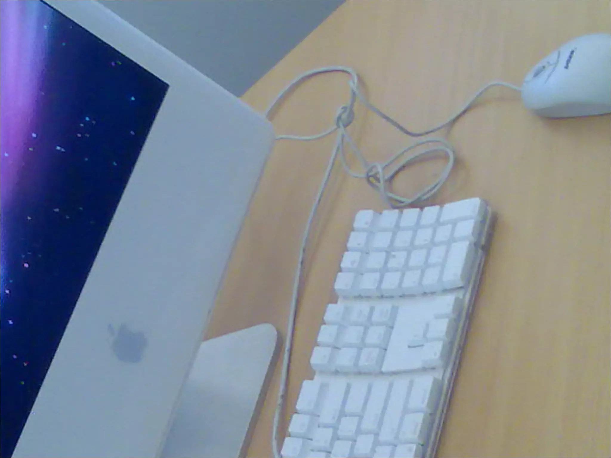 What Technology Is - by Year 10