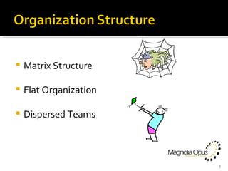 Matrix Structure Flat Organization Dispersed Teams 