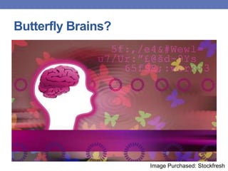 Butterfly Brains?
Image Purchased: Stockfresh
 