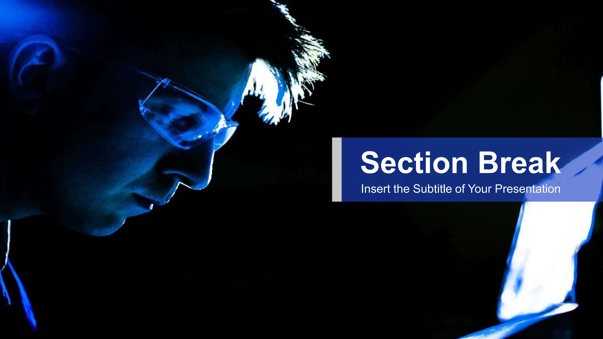 Section Break
Insert the Subtitle of Your Presentation
 