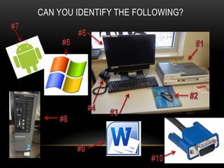 CAN YOU IDENTIFY THE FOLLOWING?

 