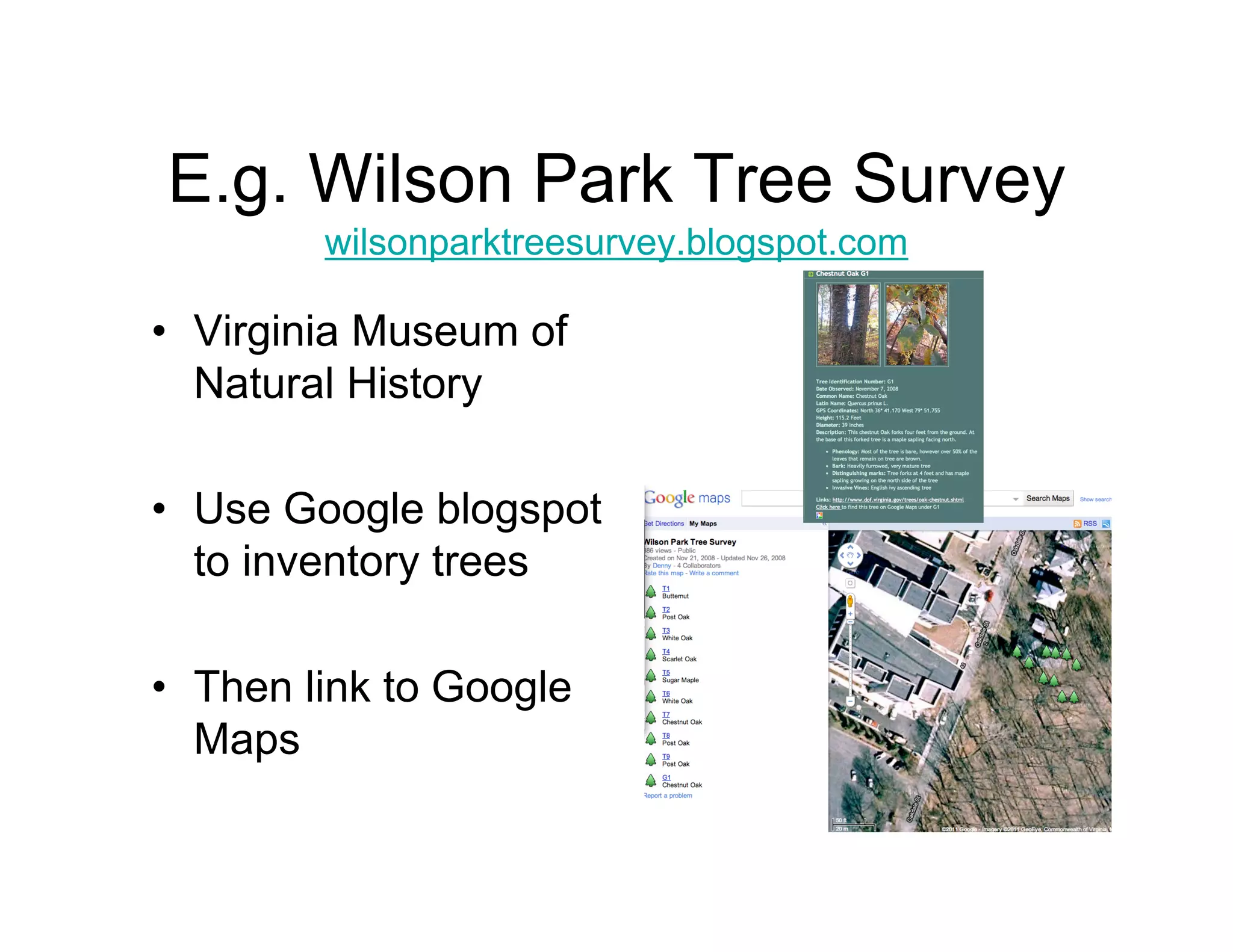 E.g. Wilson Park Tree Survey
        wilsonparktreesurvey.blogspot.com

• Virginia Museum of
  Natural History

• Use Google blogspot
  to inventory trees

• Then link to Google
  Maps
 